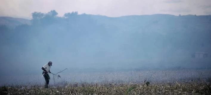 Θρίλερ στη Μεσσηνία: Βρέθηκε ανθρώπινο κρανίο σε χωράφι